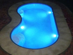 Bean Shaped Pool Manufacturer in Hyderabad